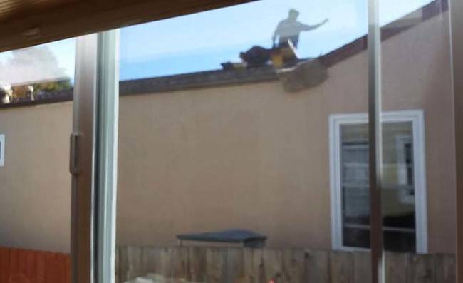 Oh, wait a minute. It turns out the shadow was just somebody working on the neighbor's roof. Still pretty terrifying, though.