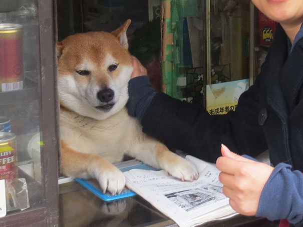 The friendliest cashier you'll ever meet.