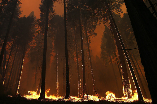 2.) The Yosemite "Rim Fire" burning out of control.