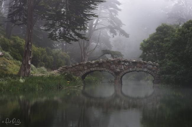 Golden Gate Park, San Francisco, CA, USA