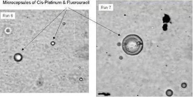 Photos from the MPES experiment, which saw chemotherapy drugs inside tiny "balloons" that could better target cancerous tissue while avoiding healthy tissue.