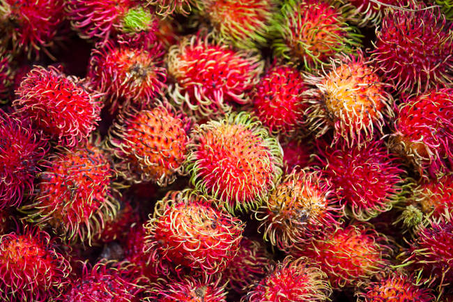 Rambutan