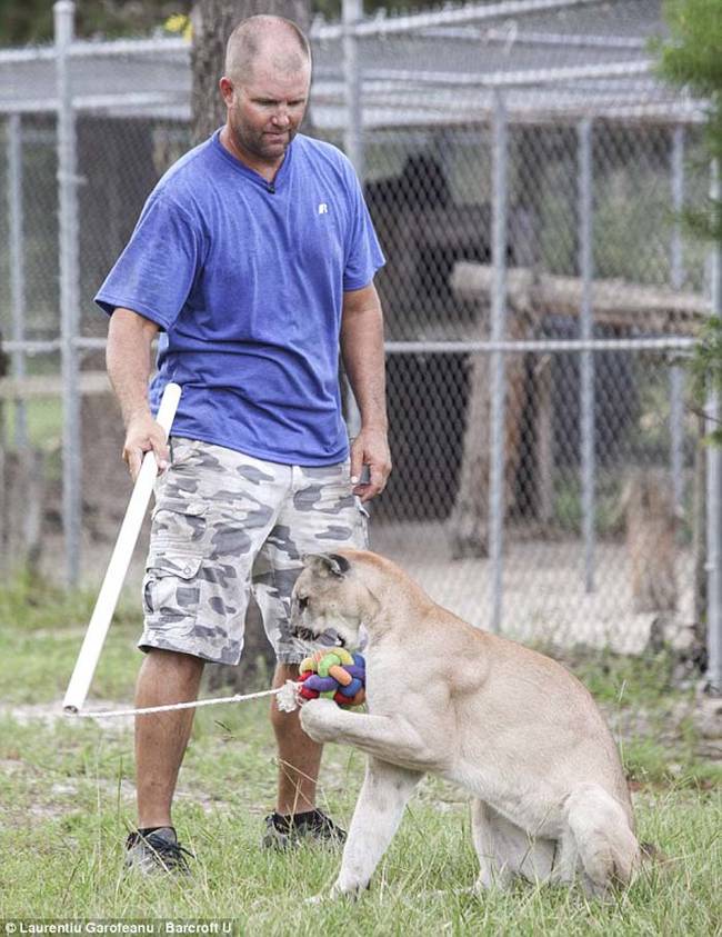 While Bovard says he has a good relationship with all the animals, he has had a couple of close calls.