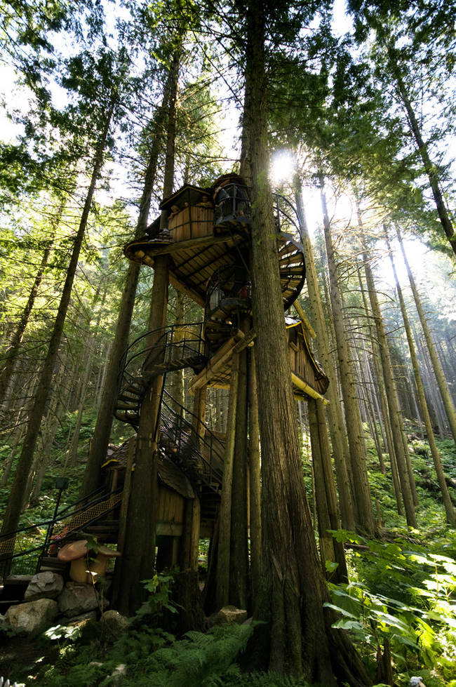 Located in The Enchanted Forest, this is British Colombia's Tallest Tree House. I love tree houses like this one - it curls up the tree almost like a vine.