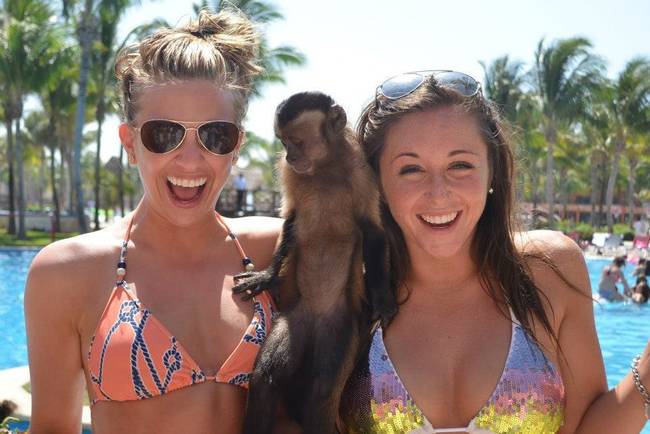 This monkey is just taking in his beach vacation.