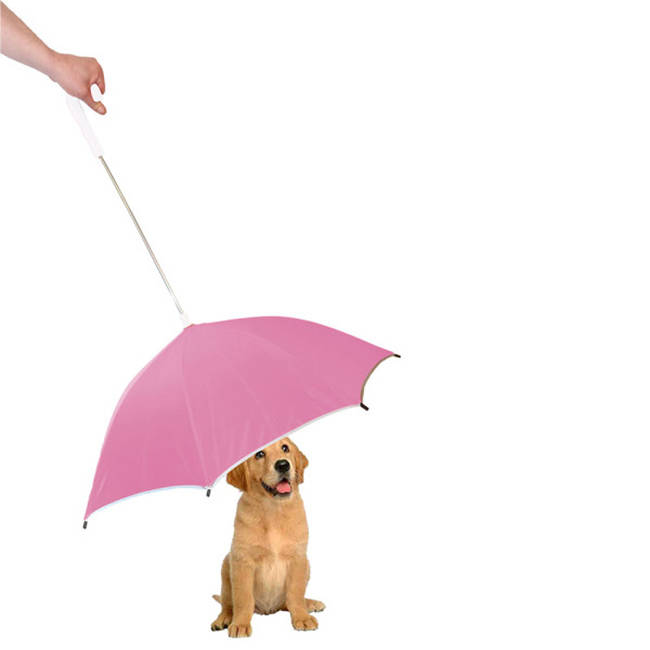 A leash that doubles as <a href="https://www.petsmart.com/dog/leashes/pet-life-pour-protection-leash-holder-pet-umbrella-zid36-26948/cat-36-catid-100084" target="_blank">an umbrella</a>.