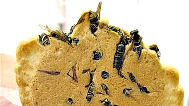 Wasp Crackers