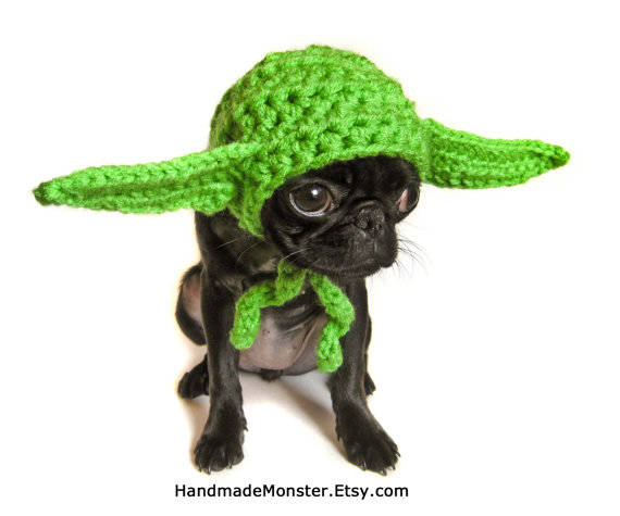 4.) Yoda Dog Hat