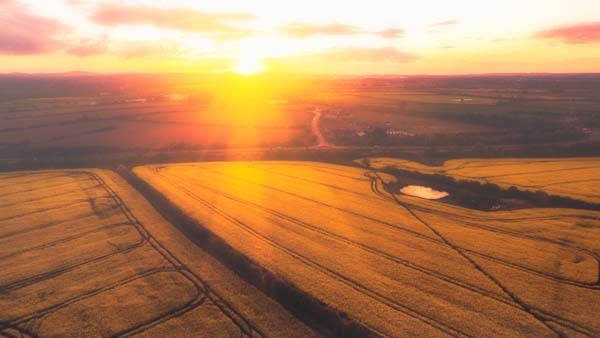 17.) A beautiful sunset over a field of crops (Chester, United Kingdom).