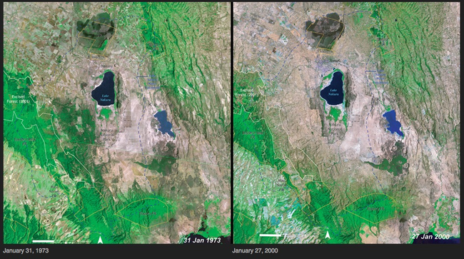 11.) Deforestation - Kenya