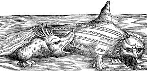 1560: Sailors of the Mediterranean were fearful of the Cherub Seals, large seals with human child-like faces. However, the real threat was the wolf-like Ziphius who hunted them.