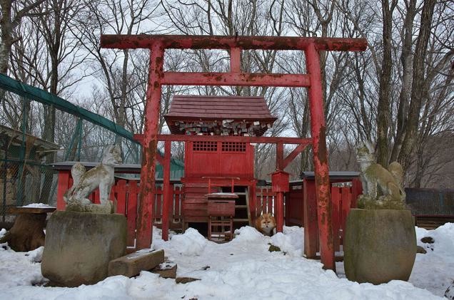 Inari, the Shinto deity of wealth, prosperity, and rice, has a shrine on premises, as foxes are the diety's messengers.