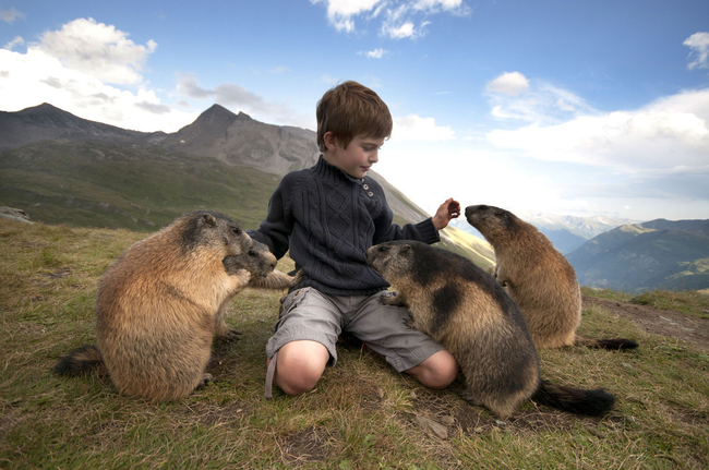 Matteo's mother explains, "He loves those animals and they are not at all afraid of Matteo because he has a feeling towards them and they understand that."