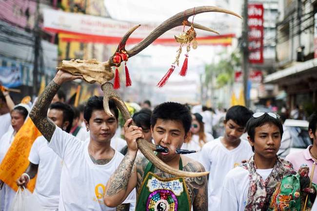 Welcome to the festival! These must be some of the toughest vegetarians in the world.