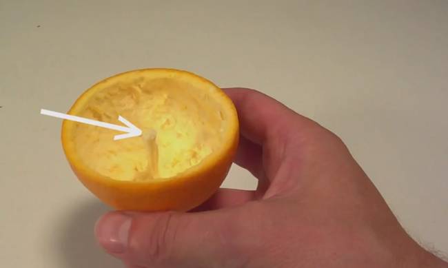 5. Did you know you can make a candle out of an orange? Start by slicing around the center of the orange, halving the skin but not the fruit. Then peel away one half of the orange peel with the little white center piece still intact.