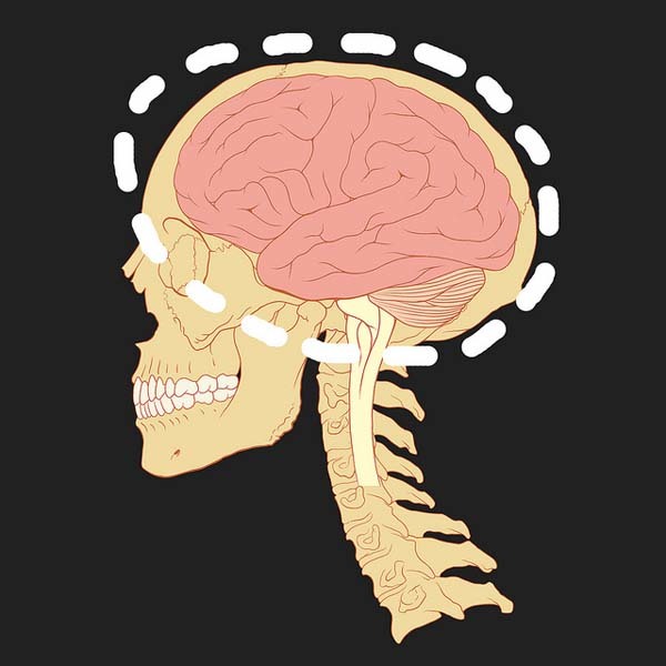 6.) For the third time in a year, doctors at Rhode Island Hospital operated on the wrong side of a patient’s head. An 82 year-old woman needed an operation to stop the bleeding in her skull. A neurosurgeon at the hospital began a surgery by drilling the right side of the patient's head… even though the CT scan show bleeding on the left side.