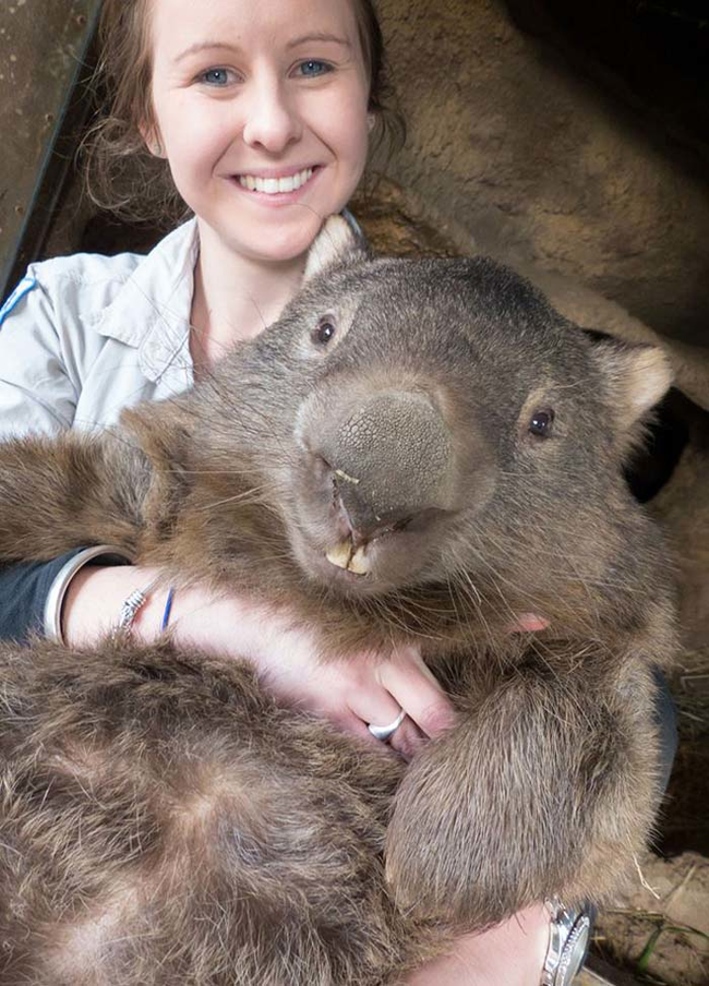 Patrick is 27 years-old (most wombats in captivity only live to be about 20).