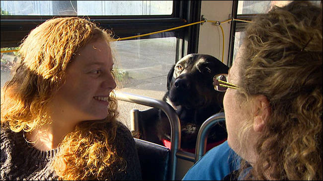 Her fellow passengers also enjoy sharing their commute with the cutie.