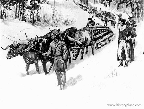 5.) In the early days of war, it wasn't too uncommon to see hoards of oxen being used to transport forces.