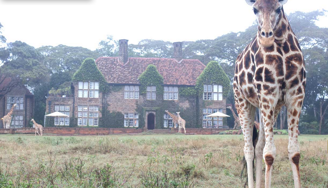 Giraffe Manor, Nairobi, Kenya