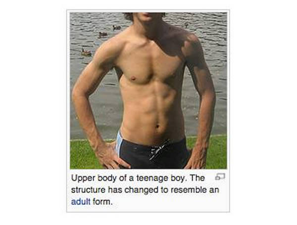 This photo comes from a Wikipedia page on adolescence. This seems less like a troll and more like someone trying to sound clinical without knowing how. Verdict: not a troll.