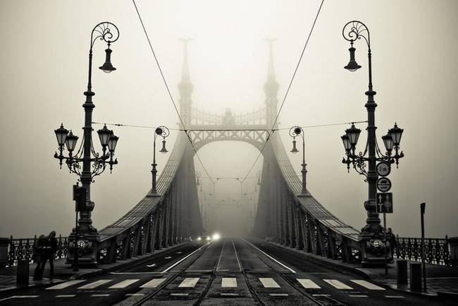 Liberty Bridge, Budapest, Hungary