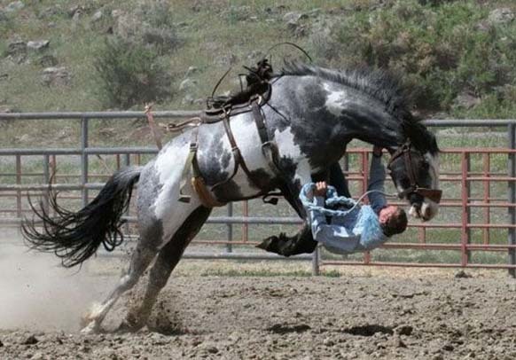 17.) Dancing with your horse is not suggested.