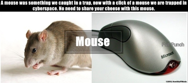 3.) Mouse