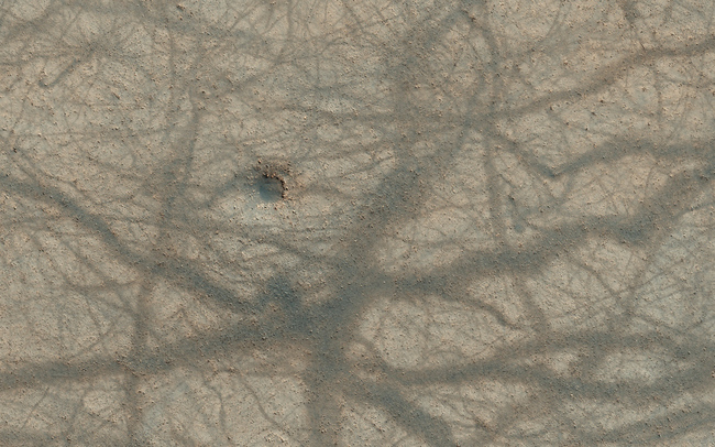 The crisscross tracks of dust devils.