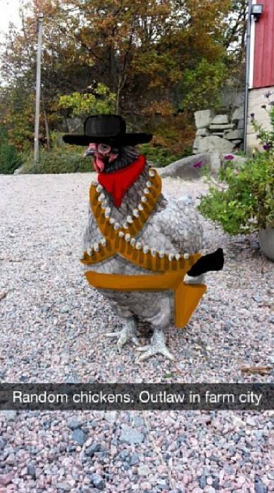 Outlaw Chicken