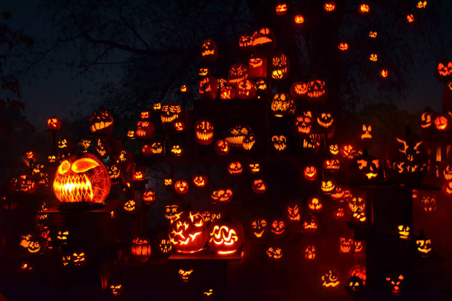 18.) Samhainophobia is the fear of Halloween.