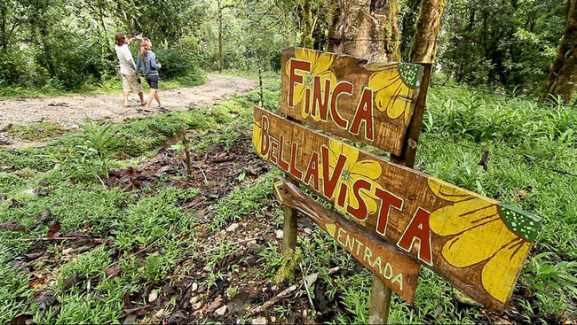 Welcome to Finca Bellavista.