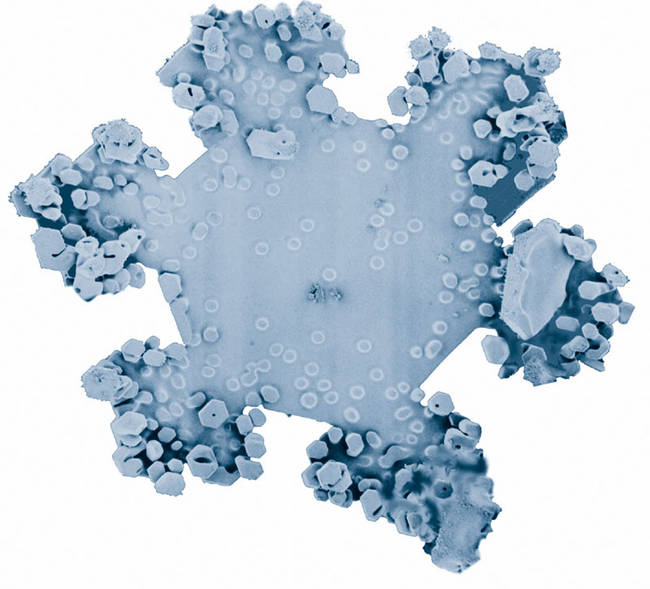 The researchers wanted to study the structures of the snowflakes to determine how they impact ecosystems.