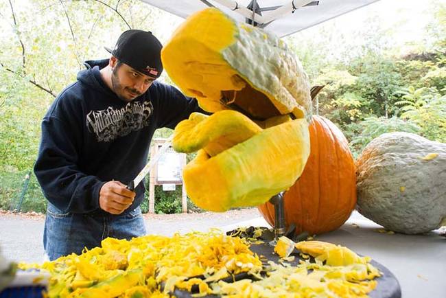The artist here is Chris Verra,  a renowned pumpkin carver.