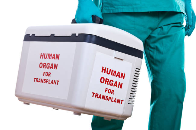 Your flight may very well be transporting human organs as well.