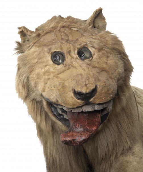 3.) This is supposed to be a lion. That is all that needs to be said.