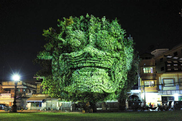 Projections turn trees into faces monstrous and serene.