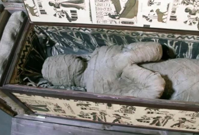 A Mummy: Ten year old Alexander Kettler found an actual mummy in his grandparents attic. The mummy was given to his grandfather in the 1950's  as a "souvenir" for his trip to North Africa. (Do the bodies of dead people count as souvenirs?) Upon inspection, the mummy was found to have an arrowhead lodged in its brain.