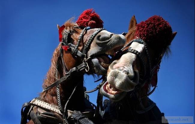 That's one sloppy kiss if I ever saw one.