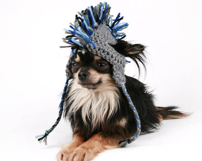 Keep their heads warm while they <a href="https://www.etsy.com/listing/185335427/dog-hat-mohawk-crochet-touque-with-ear" target="_blank">stay totally punk</a>.