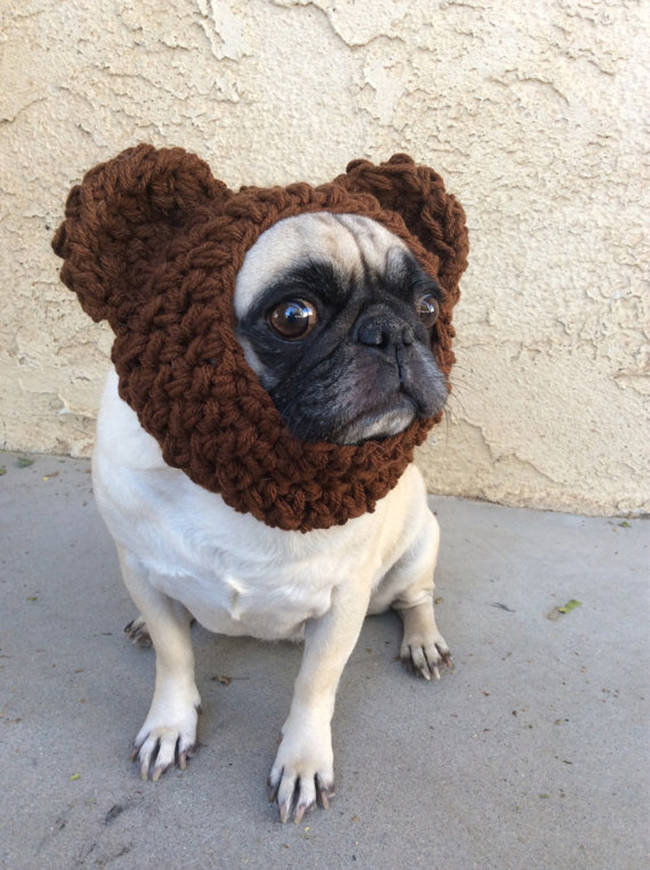 Keep their ears warm by turning them into a cuddly <a href="https://www.etsy.com/listing/200820835/teddy-bear-ear-warmer-hats-for-dogs-pugs" target="_blank">teddy bear</a>.