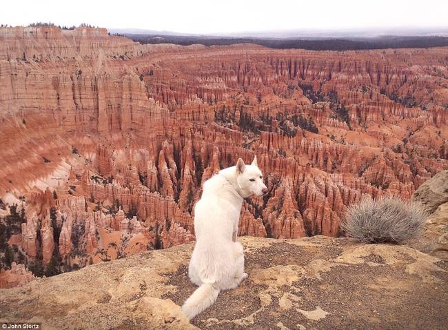 Bryce Canyon in Utah