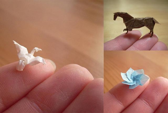 13. Origami for bugs?