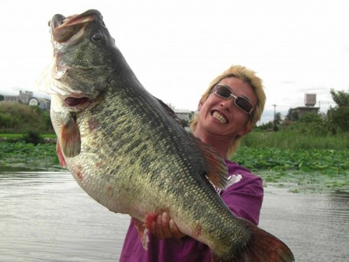 In 2009, Japanese fisherman, Manabu Kurita, caught a 22lb. 4oz. largemouth bass, tying the world record set in 1932.  The bass itself currently holds the record for singing Bobby McFarren's "Don't Worry, Be Happy" in the deepest of baritones.