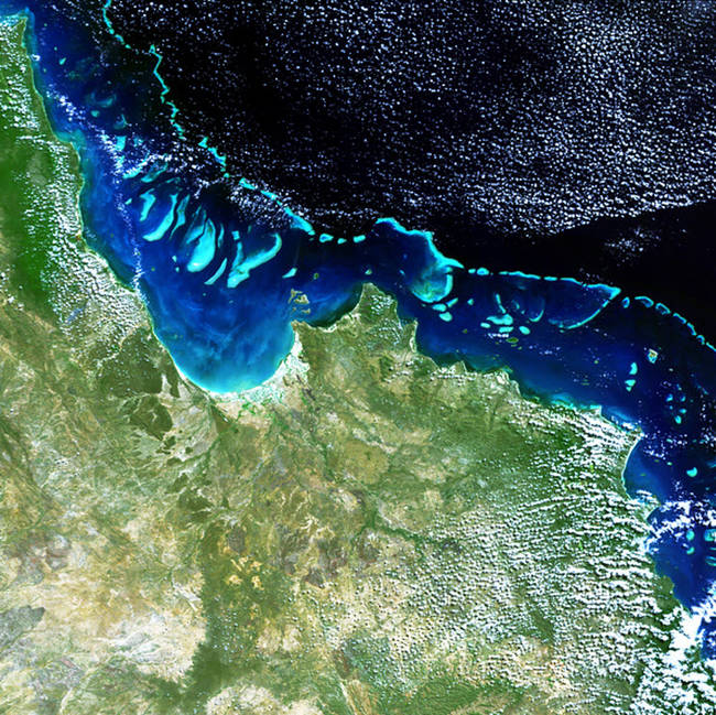 The Great Barrier Reef