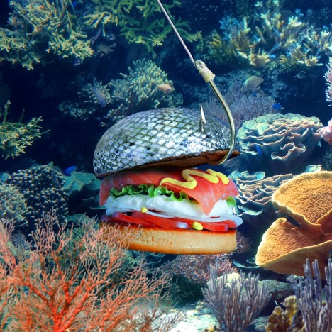 Ocean Burger