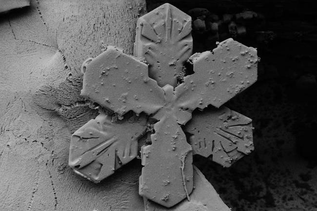 Not only was this study helpful with the scientists' research, but it also produced some gorgeous photos of the snowflakes' crystalline structures.