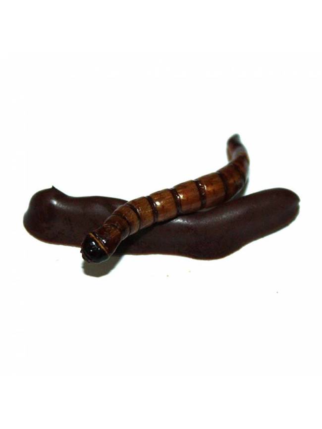 Or maybe you'd prefer some dark chocolate superworms?