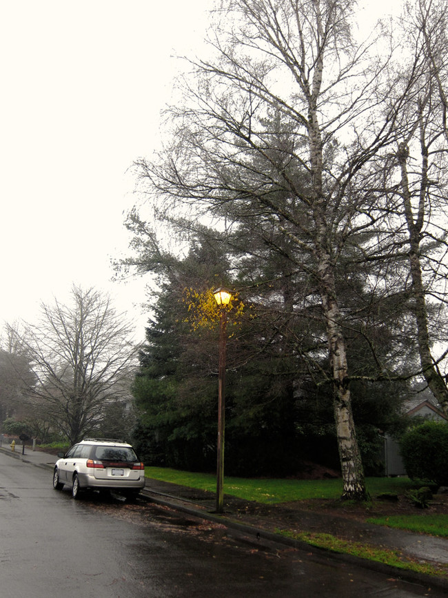 11. This lamp is keeping these leaves from realizing it's winter. Someone has a sense of humor.