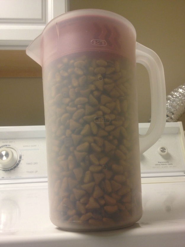 29. Speaking of dog food... use a plastic pitcher to store and dispense dog food.